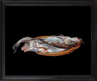 RN1589 Fish after Alexander Adriaenssen, 2024