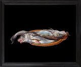 RN1589 Fish after Alexander Adriaenssen, 2024