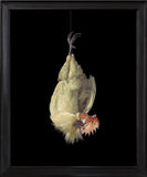 RN1592 Cockerel after Willem van Aelst, 2024