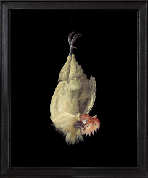 RN1592 Cockerel after Willem van Aelst, 2024