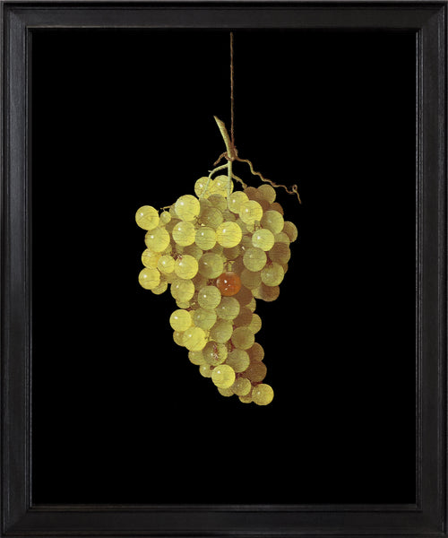 RN1593 Grapes after Adriaen Coorte, 2024