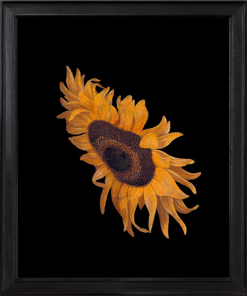 RN1601 Sunflower after Maria van Oosterwijck, 2024