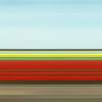 TS33 Tulip Fields IV, Holland, 2004