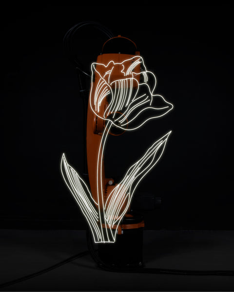 RN1478 Robot Light Drawing, Tulip, after Andy Warhol (c. 1955), 2022