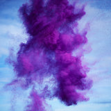 RN879 Paint Pigment Photograph, Dioxazine Violet, 2012